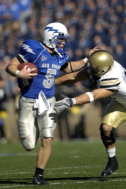 展示出的 展示出的