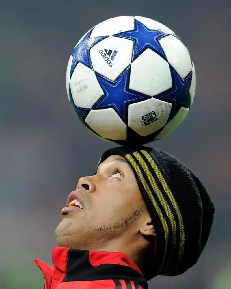 巴洛特利以 巴洛特利以